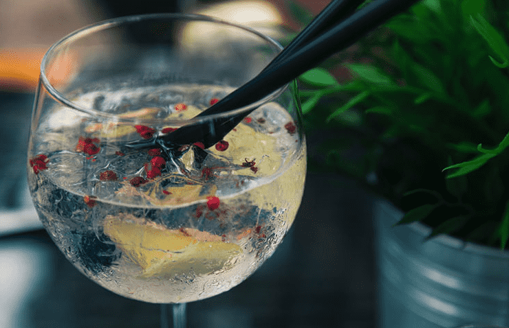 Receitas de gin