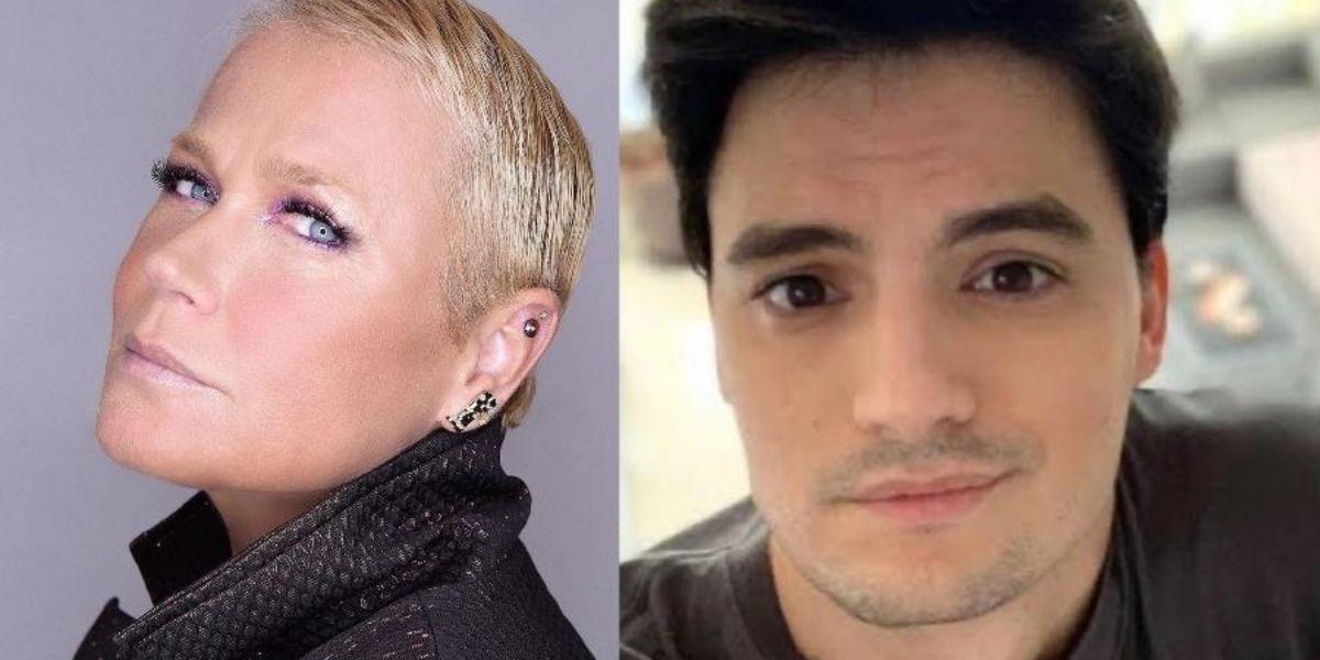 Foto dividida em dois com xuxa do lado esquerdo e felipe neto do lado direito posados