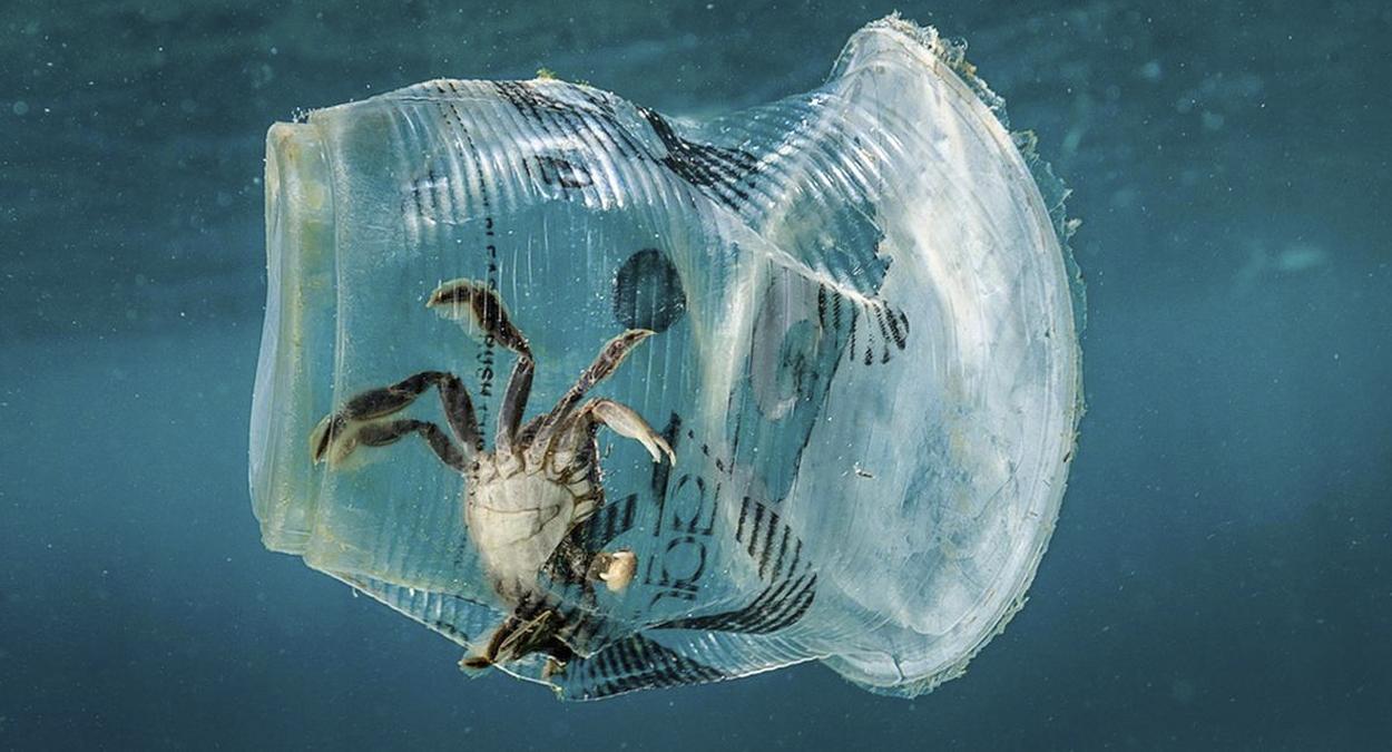 Plastico nos oceanos deve triplicar até 2040