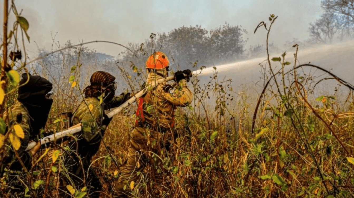 Foto mostra bombeiros apagando fogo em incêndios no pantanal