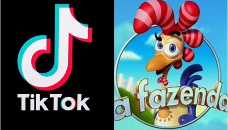 Tiktok da fazenda