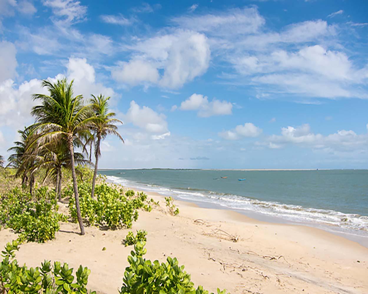 Praia deserta no brasil lencóis maranhenses