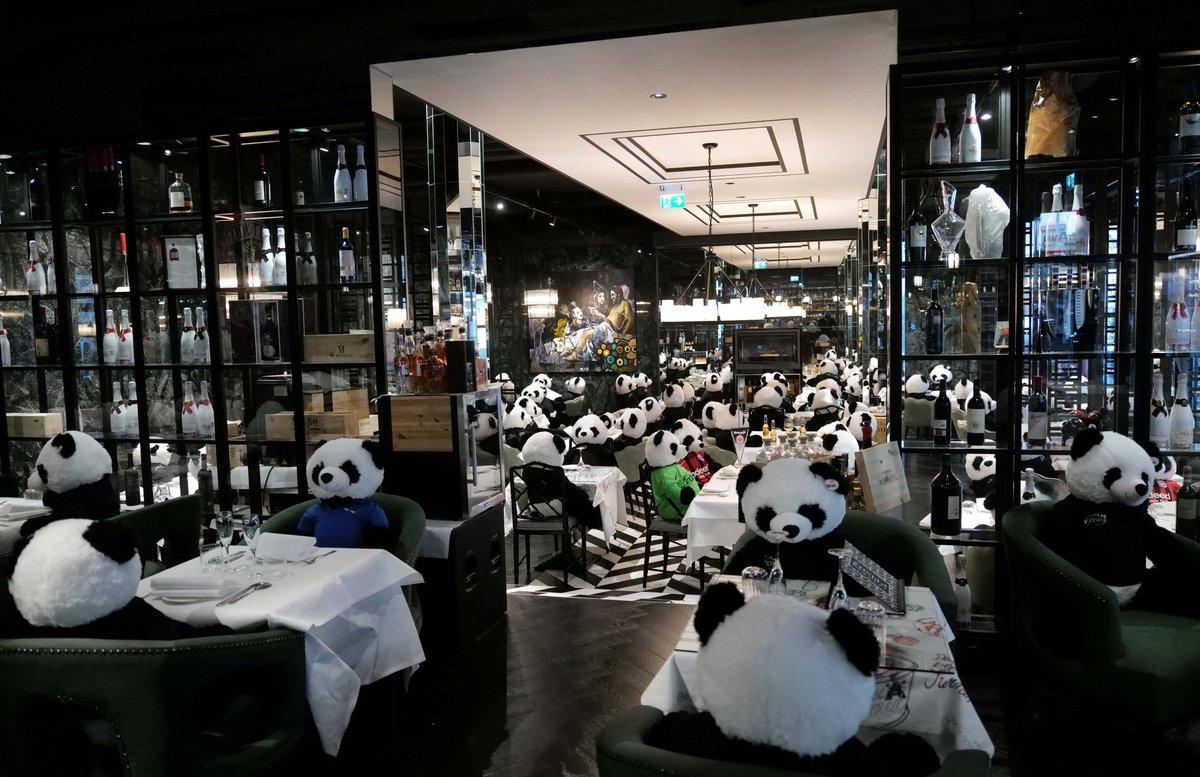 Bar na alemanha coloca pandas