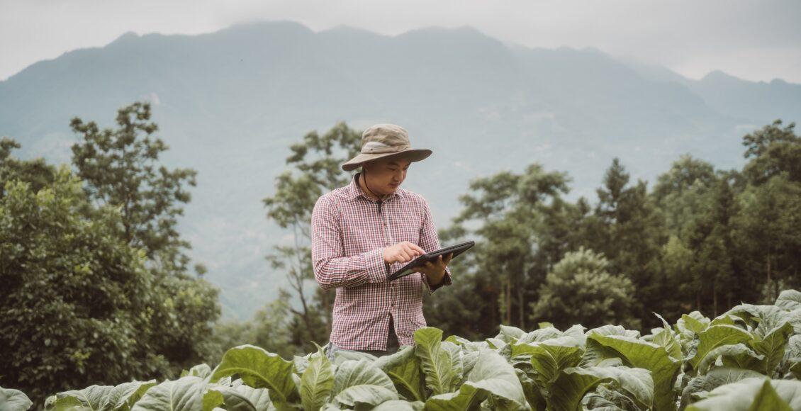 produção rural; seguro rural