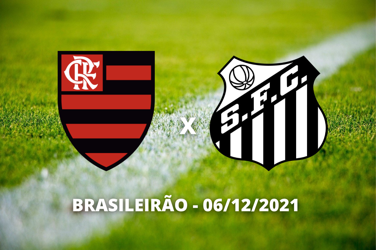 Jogos do Brasileirão hoje (6/11): onde assistir AO VIVO e horário