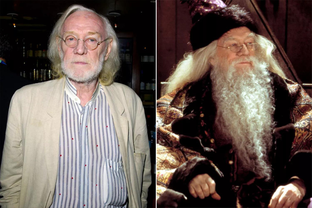 Alvo dumbledore em harry potter