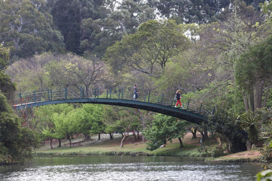 Imagem do Parque Ibirapuera; nela, é possível enxergar duas pessoas caminhando em uma ponte verde que passa por cima de um lago. Ao fundo, estão árvores de vários tamanhos