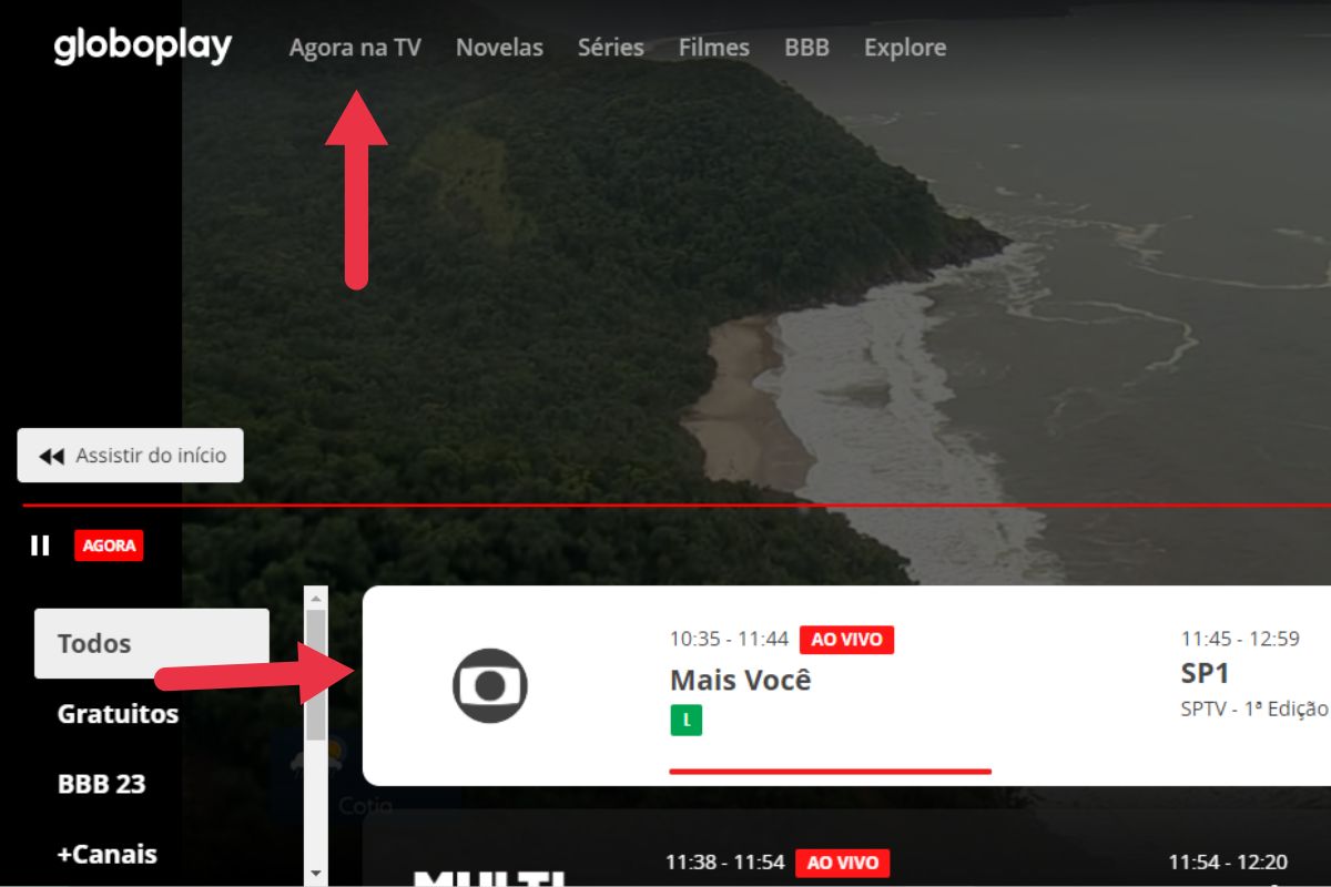 Página da globoplay