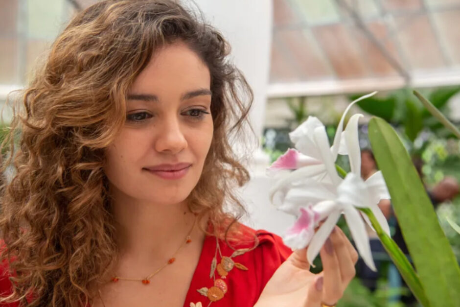 todas as flores vai passar na tv aberta