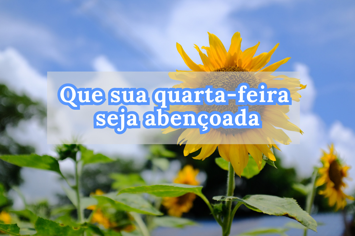 Frases de quarta-feira abençoada