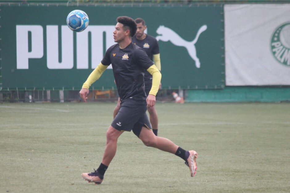 Onde assistir Botafogo SP x Criciúma ao vivo e horário da Série B