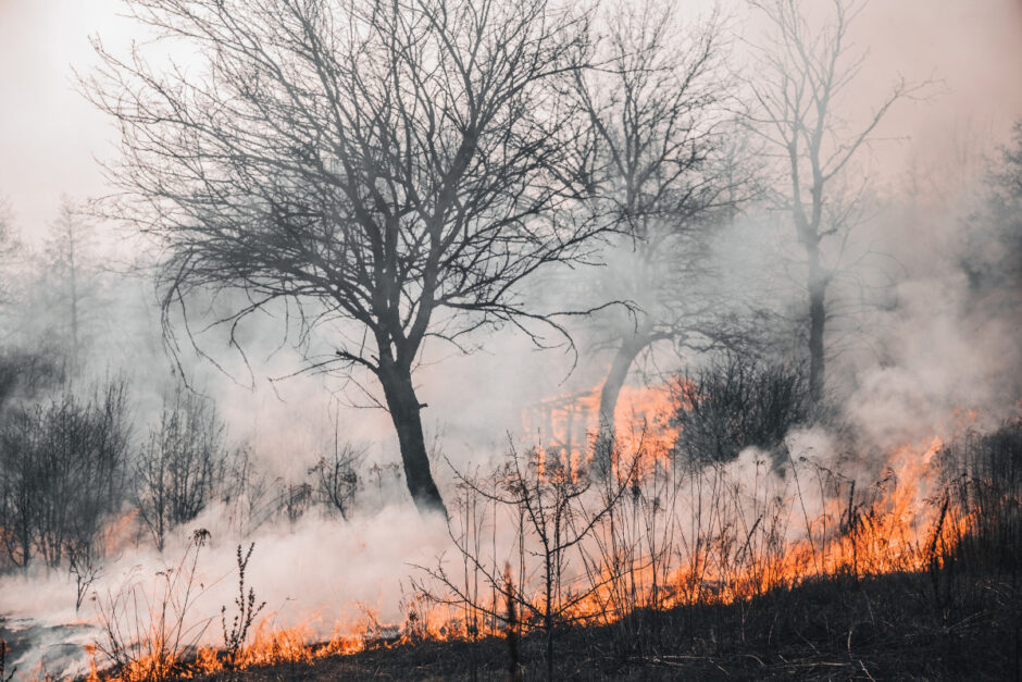 Como começou o incêndio no Havaí