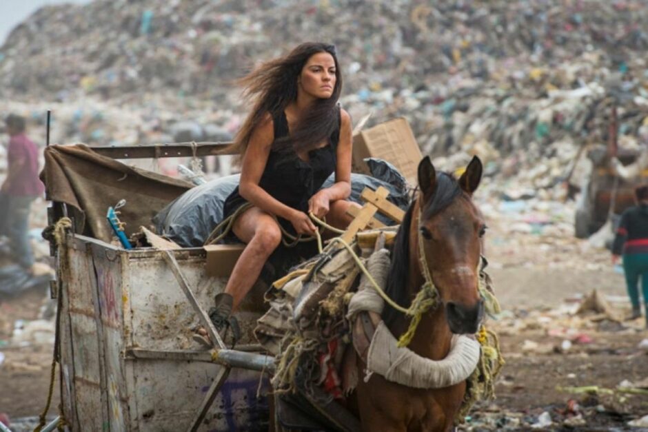 A Gata é remake de qual novela