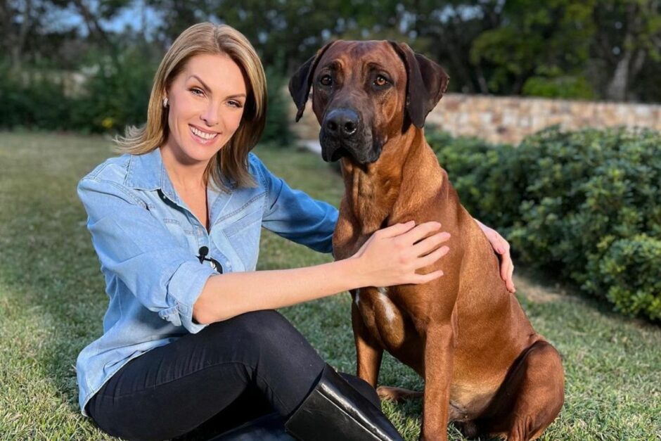 Cachorros ana hickmann