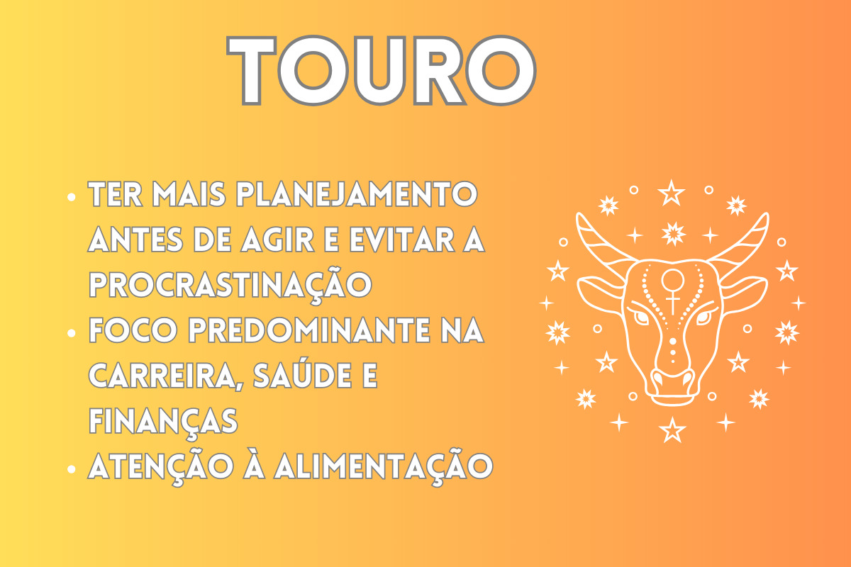 Touro 2